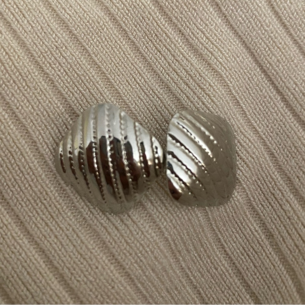Silver Earrings